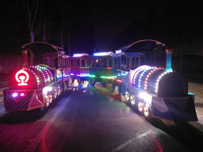 Diesel Train Ride for Sale